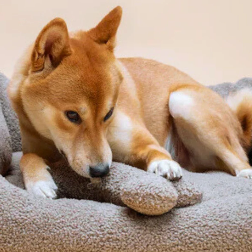 Hundespielzeug Plüsch-Knochen FETCH – Bild 3