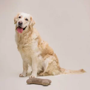Alternative view of Hundespielzeug Plüsch-Knochen FETCH