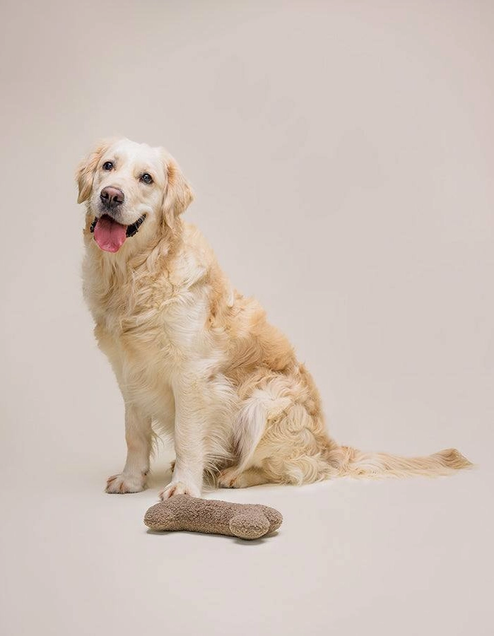 Hundespielzeug Plüsch-Knochen FETCH – Bild 2