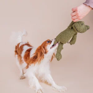 Alternative view of Hundespielzeug GRETA, DER FROSCH