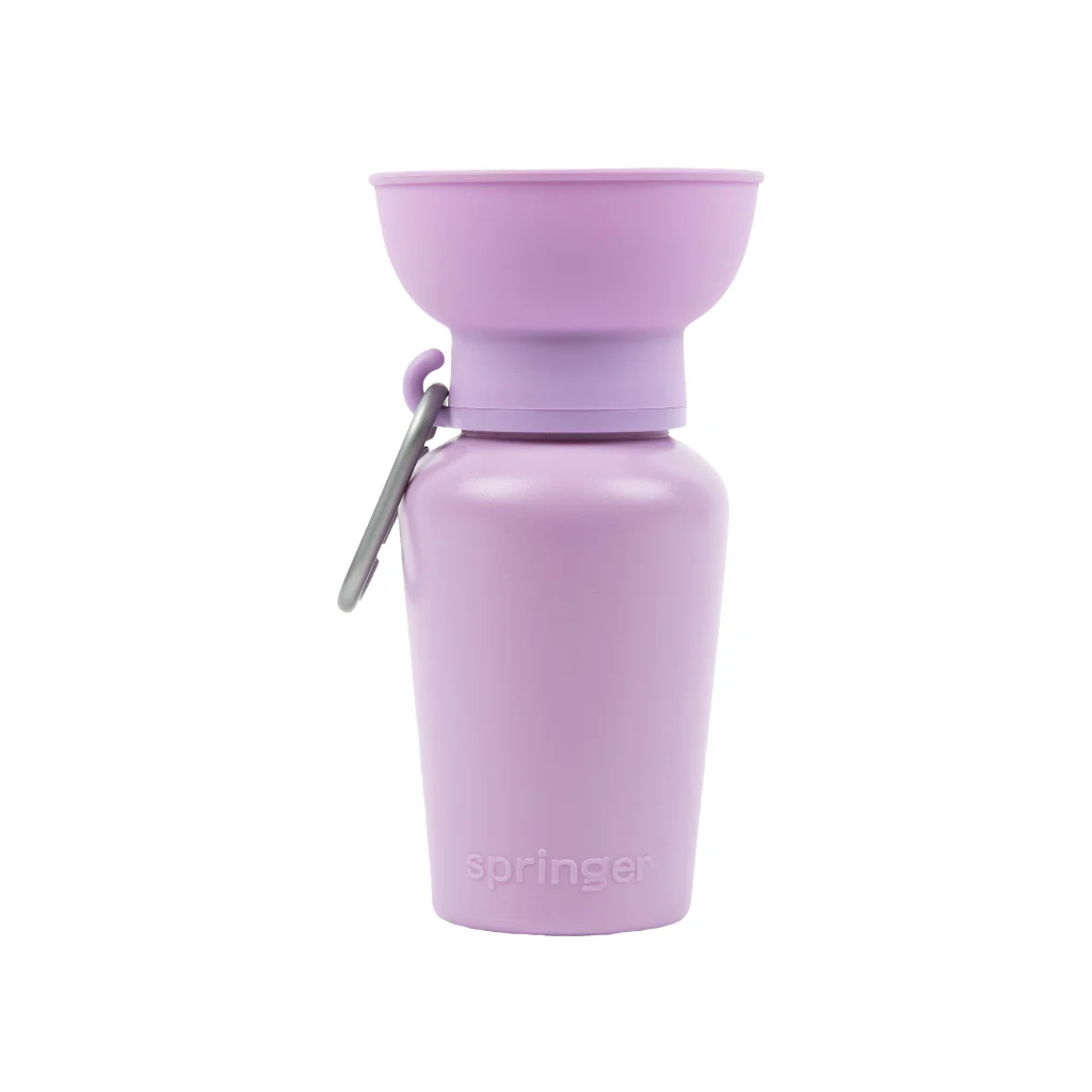 Trinkflasche für Hunde to go in Lila