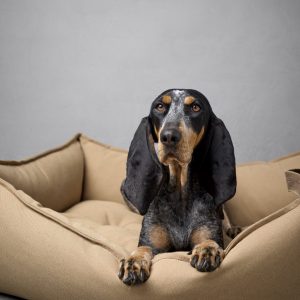 Alternative view of Hundebett Boost Canvas – Beige