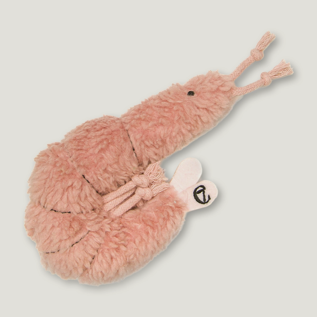 Shrimp Susi
