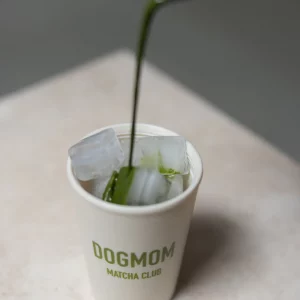 Alternative view of Thermobecher DOGMOM MATCHA CLUB - Limited Edition