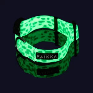 Alternative view of Glow Collar 2.0