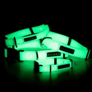 Alternative view of Glow Collar Rose