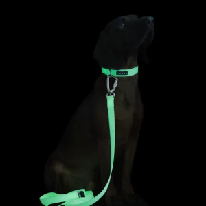 Alternative view of Glow Leash Rose