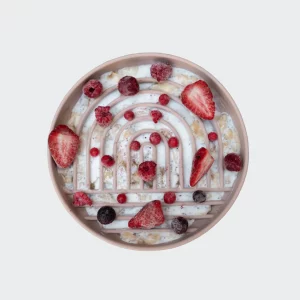 Alternative view of Slow Feed Bowl