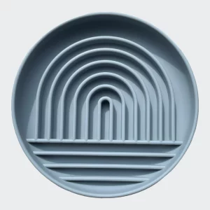 Slow Feed Bowl