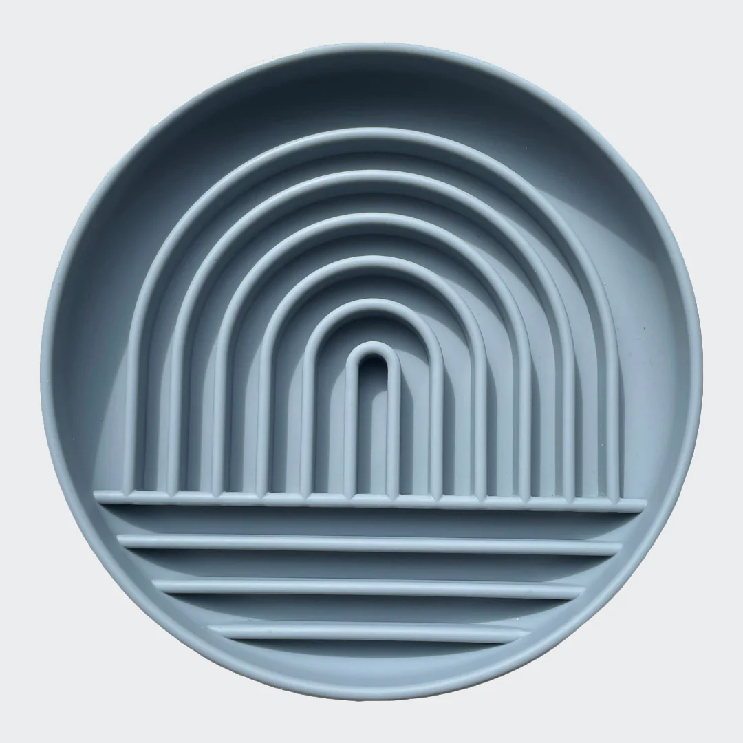 Slow Feed Bowl