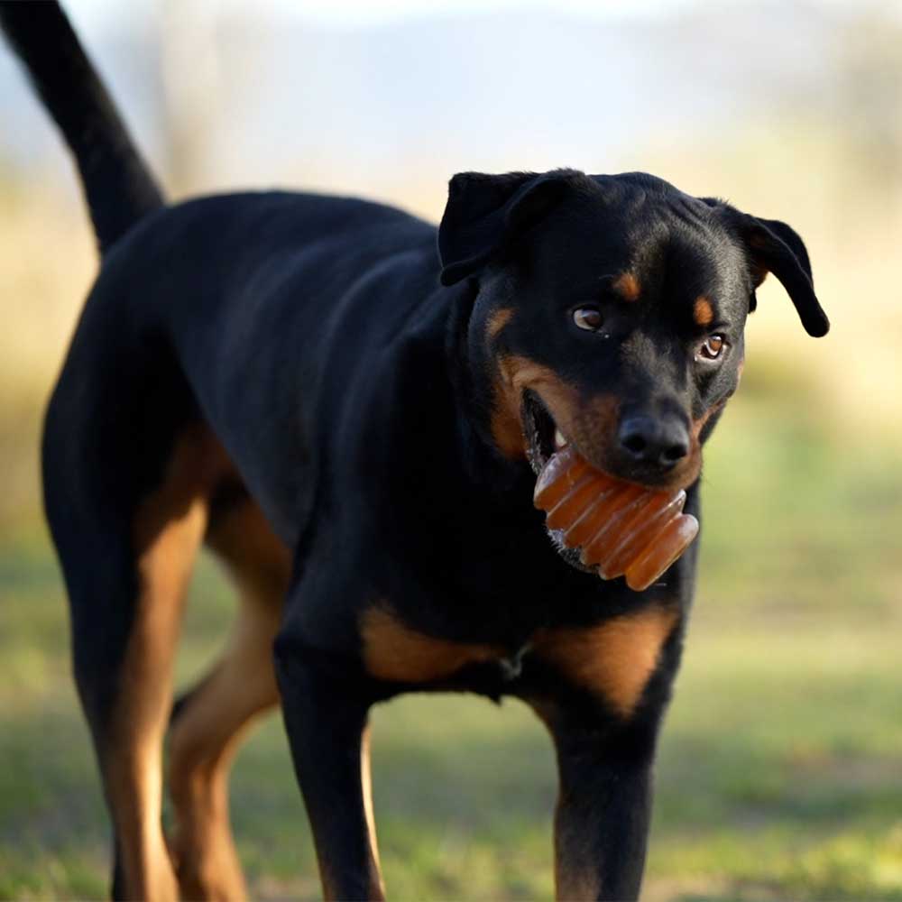Hundespielzeug Jumpty Dumpty – Bild 5