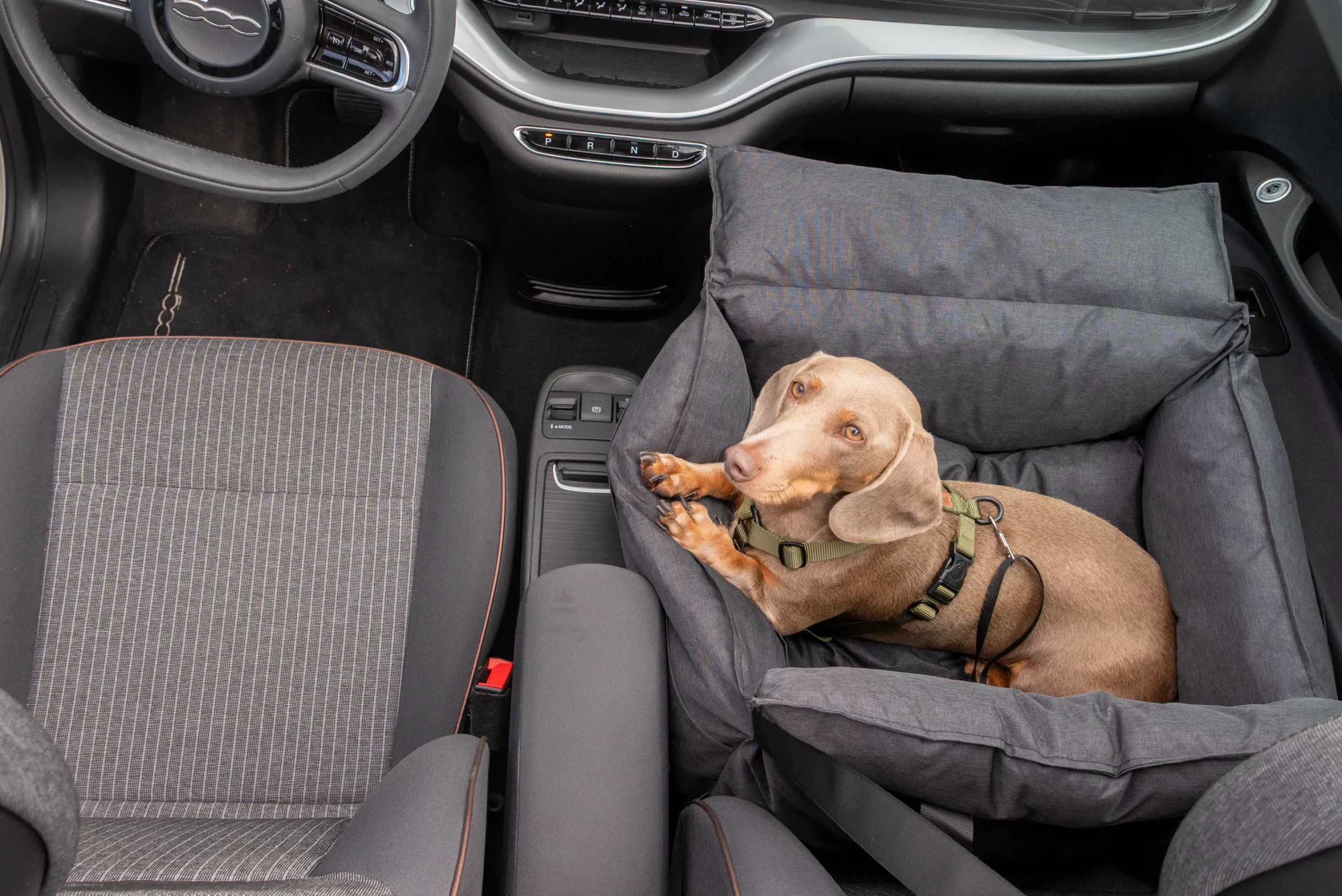 Hundeautositz Anthrazit – Bild 4