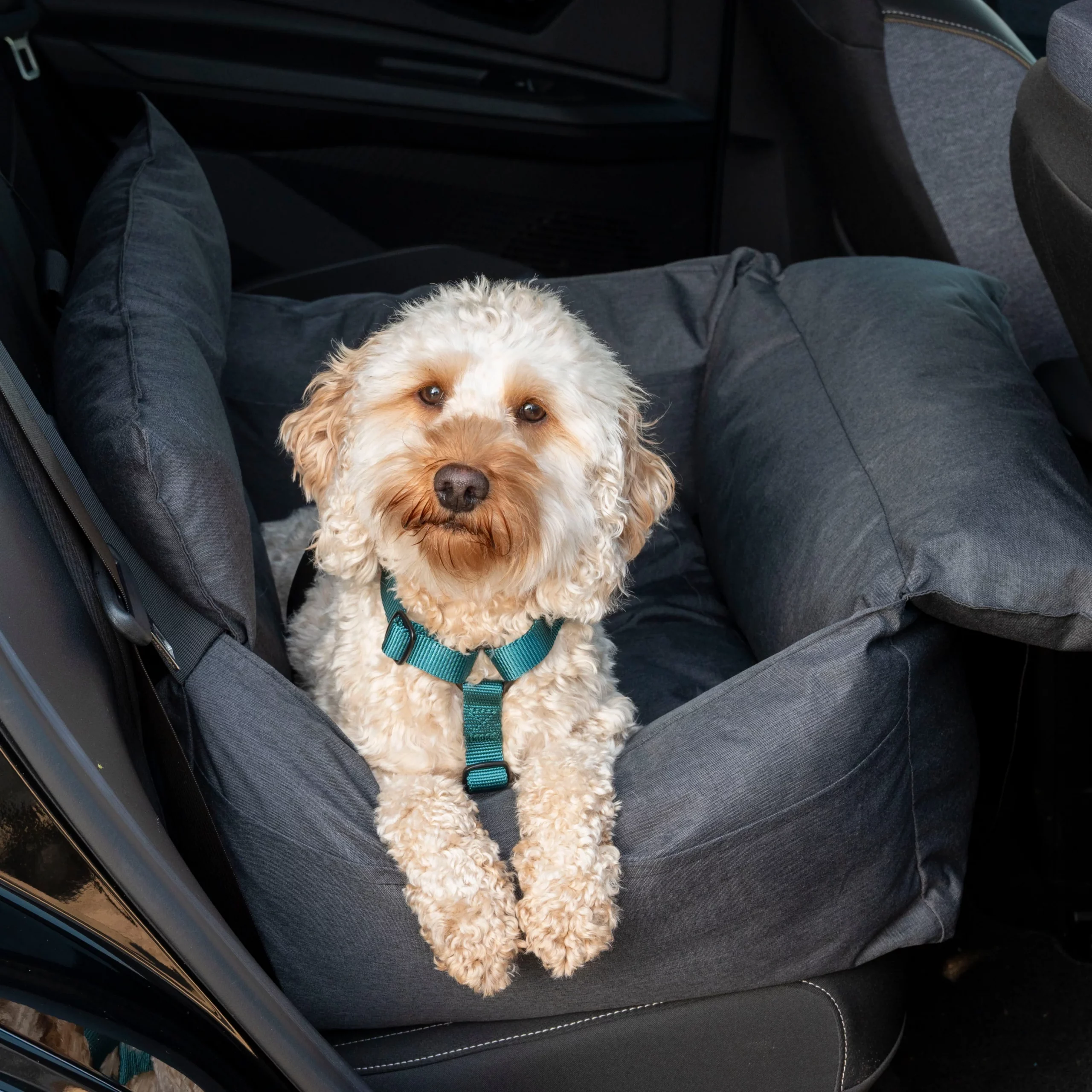 Hundeautositz Anthrazit – Bild 5
