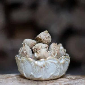 Alternative view of Paul & Paulina Erdnussbutter-Minis für Hunde – 200 g