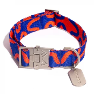 Hot Doggies Hundehalsband Rocky Electric in Blau und Orange