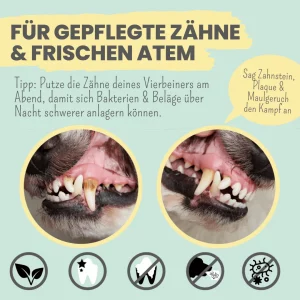 noms+ ENZYMODENT – Enzymatische Hundezahnpasta, 75 ml – Bild 5