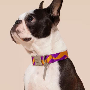 Alternative view of HOT DOGGIES Hundehalsband Bonny Plum