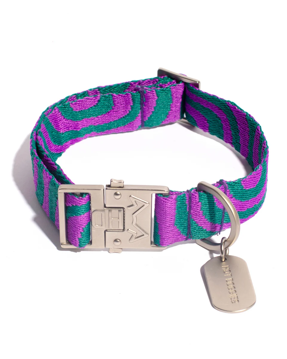 Hot Doggies Hundehalsband Lola Groove in Petrol und Lila