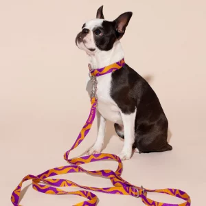 Jacquard-gewebte Hot Doggies Hundeleine Bonny Plum UND PASSENDES HALSBAND AM HUND