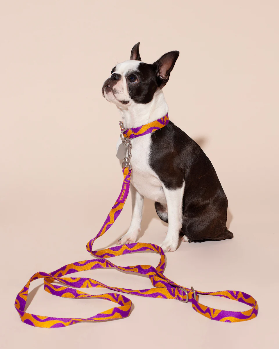Jacquard-gewebte Hot Doggies Hundeleine Bonny Plum UND PASSENDES HALSBAND AM HUND