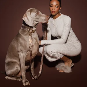 Weimaraner Hund und Frauchen mit DOGGUO Zebra Hundeleine in Braun und Beige