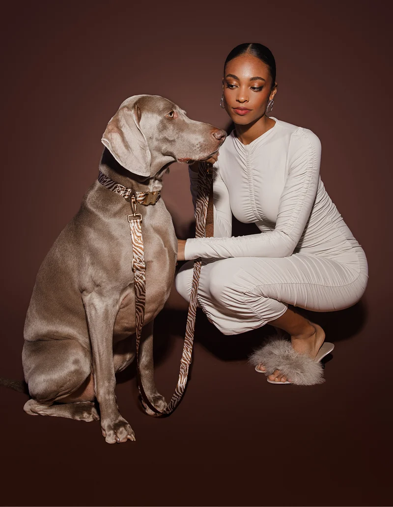 Weimaraner Hund und Frauchen mit DOGGUO Zebra Hundeleine in Braun und Beige