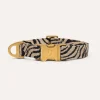DOGGUO Zebra Hundehalsband in Beige und Schwarz