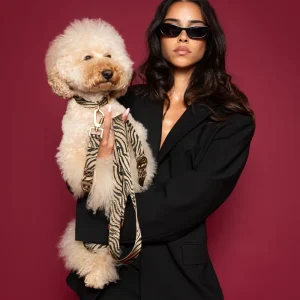 Pudel und Frauchen mit DOGGUO Zebra Hundeleine in Beige und Schwarz