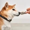MiaCara DITO Fingerzahnbürste bei der Zahnpflege eines Shiba Inu