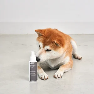 MiaCara GENGIVA Hundezahnspray neben einem Shiba Inu