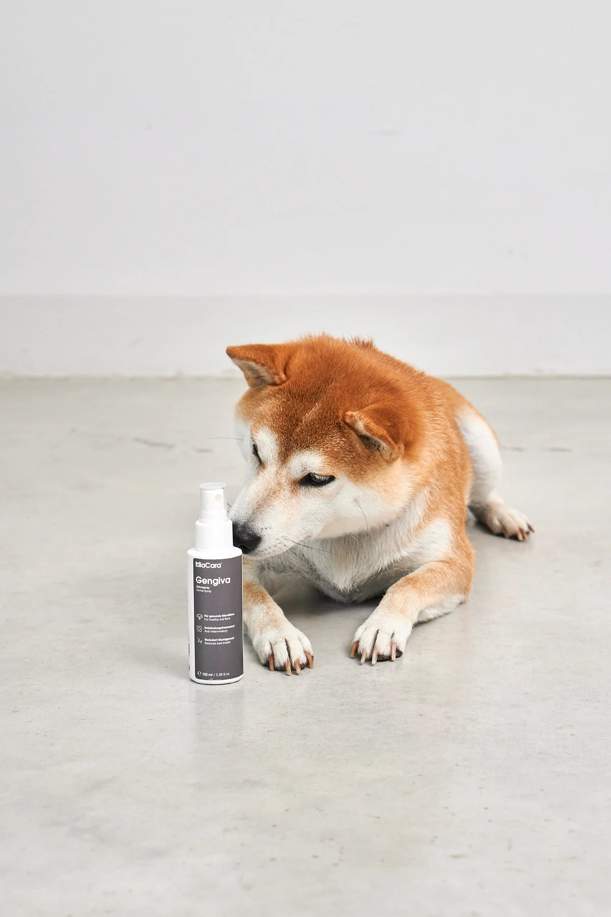 MiaCara GENGIVA Hundezahnspray neben einem Shiba Inu