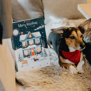 Hund mit Pets Best Adventskalender Santa’s Moonlight Skates