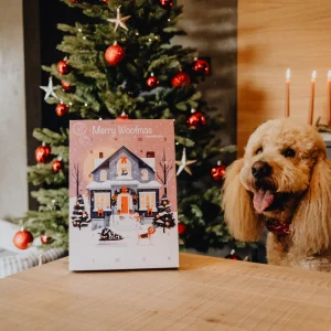 Hund mit Pets Best Snowman’s Christmas Morning Adventskalender